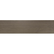 Newker Trail С000513891 177110_TrailAntislipBrown porcelanato 22,5x90 cm, España, efecto madera - foto 1 - foto 1