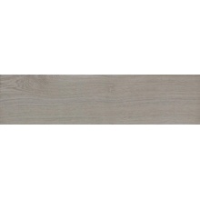 Newker Trail С000513886 177102_TrailGrey porcelanato 22,5x90 cm, España, efecto madera - foto 1 - foto 1