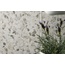 Newker Venezia 60x120 см, gres porcelánico esmaltado, España, terrazzo - foto de interior 5 Newker Venezia 60x120 см, gres porcelánico esmaltado, España, terrazzo - foto de interior 5