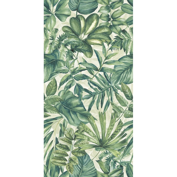 Novabell Wonderspace С000618955 WDS740K_WdsExotic60X120Rett grès cérame 60x120 cm, Italie - photo 1 Novabell Wonderspace С000618955 WDS740K_WdsExotic60X120Rett grès cérame 60x120 cm, Italie - photo 1