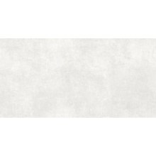 Pamesa Alpha С000587801 015.722.0012.05202_Blanco gres porcelanato 30,3x61,3 cm, Espanha, concreto - foto 1 - foto 1