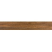 Pamesa Rainier Nogal gres porcelanato 20x120 cm, Espanha, efeito madeira - foto 1 - foto 1