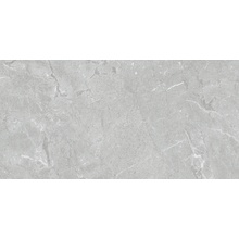 Pamesa Constanza 017.250.0368.15089 Gray Rect keramisch graniet 60x120 cm, Spanje, steen  - foto 1 - foto 1