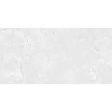 Pamesa Constanza С000623930 017.0250.0108.15089_Constanza White 60*120 keramisch graniet 60x120 cm, Spanje, andere soorten steen - foto 1 - foto 1