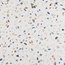 Pamesa Doria С000545918 017.840.0558.10382_Doria_Multi_mat_60x60 gres porcellanato 60x60 cm, Spagna, terrazzo - foto 1 Pamesa Doria С000545918 017.840.0558.10382_Doria_Multi_mat_60x60 gres porcellanato 60x60 cm, Spagna, terrazzo - foto 1