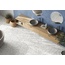 Pamesa Eleganza 30x60, glazed porcelain stoneware, Spain, concrete - interior photo 19