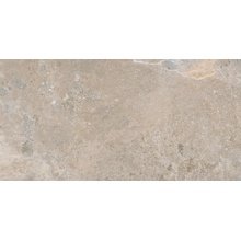 Pamesa Erding С000560037 050.805.0344.00714_Ash_semipol_rect keramisch graniet 45x90 cm, Spanje, andere soorten steen - foto 1 - foto 1