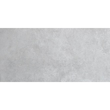 Pamesa Koncept С000375425 35.450.135.2967_KonceptArgent keramisk granitt 30x60 cm, Spania, under betong - foto 1 - foto 1
