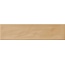 Pamesa Origin Eleganza С000581102 027.890.0053.11183_Eleganza_siena_7,5x30 stěnová dlaždice 7,5x30 cm, Španělsko - fotografie 1 Pamesa Origin Eleganza С000581102 027.890.0053.11183_Eleganza_siena_7,5x30 stěnová dlaždice 7,5x30 cm, Španělsko - fotografie 1