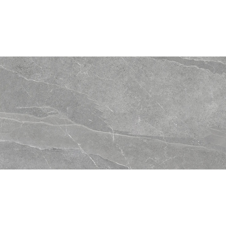 Pamesa Pietra di Lavagna 017.250.0656.12204 Argento 60*120 mat porcelanato 60x120 cm, España, otros tipos de piedra - foto 1 Pamesa Pietra di Lavagna 017.250.0656.12204 Argento 60*120 mat porcelanato 60x120 cm, España, otros tipos de piedra - foto 1