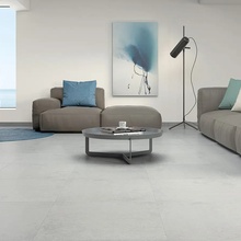 Pamesa Riga 60x60 см, glazed porcelain stoneware, Spain, concrete - interior photo 1 - photo 1