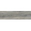 Pamesa Viggo С000512786 015.536.0019.08972_Ceniza_matt Feinsteinzeug 20x75 cm, Spanien, holzoptik - Foto 1