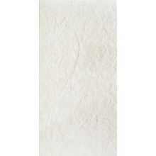 Panaria Frame С000501497 FG-FM05_GlenStrutt/Rtt30*60 keramisk granitt 30x60 cm, Italia, andre typer av stein - foto 1 - foto 1