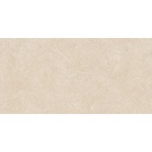 Panaria Surround С000608715 PGXSD30_SurroundSketchNatRtt60*120 keramisch graniet 60x120 cm, Italië, kalksteen - foto 1 - foto 1
