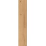 Parador Basic 5.3 С000541476 1744607_OakInfinityNatural Carreau de sol 22,5x120,9 cm, Allemagne, arbre - photo 1