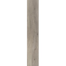 Parador Basic 5.3 С000541471 1743005_OakPastelgrey Напольная плитка 22,5x120,9 см, Германия, под дерево - фото 1 - фото 1