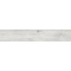 Pastorelli Arkè С000542255 S007017_AK Sbiancato 20x120 rett gres porcelanato 20x120 cm, Itália, árvore - foto 1