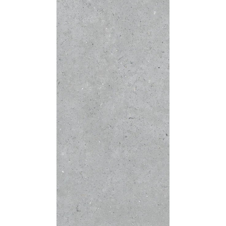 Pastorelli Biophilic С000480093 P009415_BiGrey porcelain tile 60x120 cm, Italy, other types of stone - photo 1 Pastorelli Biophilic С000480093 P009415_BiGrey porcelain tile 60x120 cm, Italy, other types of stone - photo 1