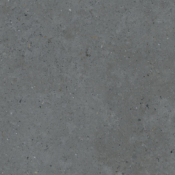 Pastorelli Biophilic С000480098 P009420_BiDarkGrey gres porcellanato 80x80 cm, Italia, altri tipi di pietra - foto 1 Pastorelli Biophilic С000480098 P009420_BiDarkGrey gres porcellanato 80x80 cm, Italia, altri tipi di pietra - foto 1