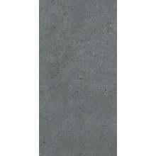 Pastorelli Biophilic С000480094 P009416_BiDarkGrey gres porcellanato 60x120 cm, Italia, altri tipi di pietra - foto 1 - foto 1