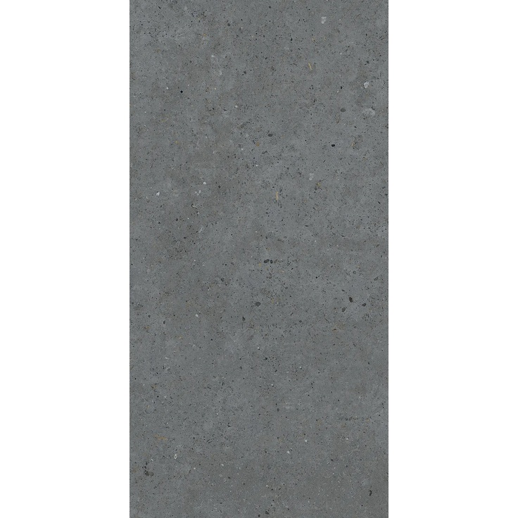Pastorelli Biophilic С000480094 P009416_BiDarkGrey gres porcellanato 60x120 cm, Italia, altri tipi di pietra - foto 1 Pastorelli Biophilic С000480094 P009416_BiDarkGrey gres porcellanato 60x120 cm, Italia, altri tipi di pietra - foto 1