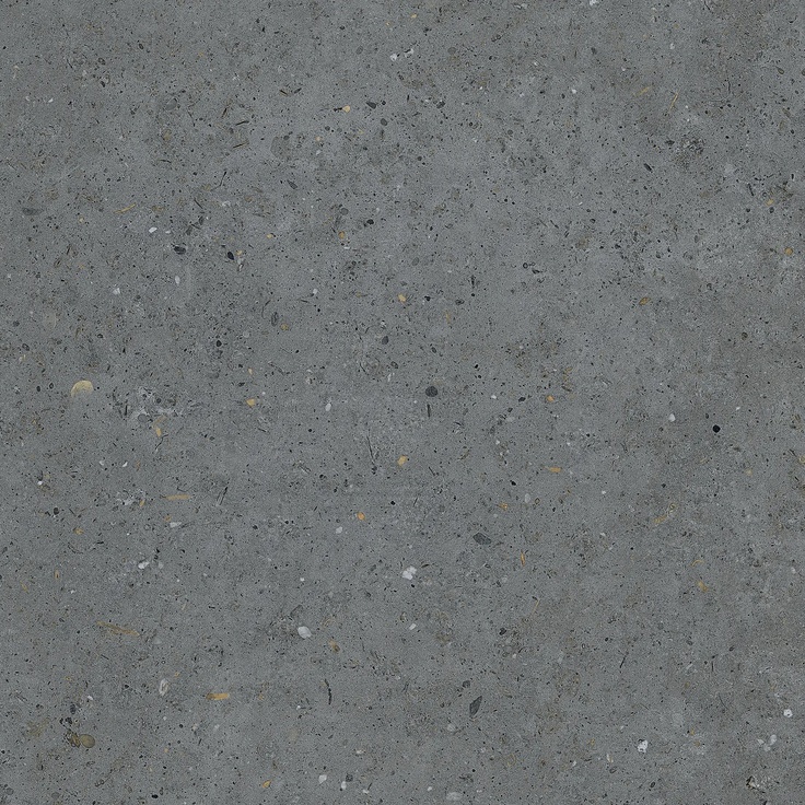 Pastorelli Biophilic С000526539 P009460 Biophilic BI Dark Grey 60x60 rett. 20mm gres porcellanato 60x60 cm, Italia, altri tipi di pietra - foto 1 Pastorelli Biophilic С000526539 P009460 Biophilic BI Dark Grey 60x60 rett. 20mm gres porcellanato 60x60 cm, Italia, altri tipi di pietra - foto 1