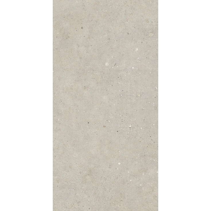 Pastorelli Biophilic С000480095 P009417_BiGreige gres porcellanato 60x120 cm, Italia, altri tipi di pietra - foto 1 Pastorelli Biophilic С000480095 P009417_BiGreige gres porcellanato 60x120 cm, Italia, altri tipi di pietra - foto 1
