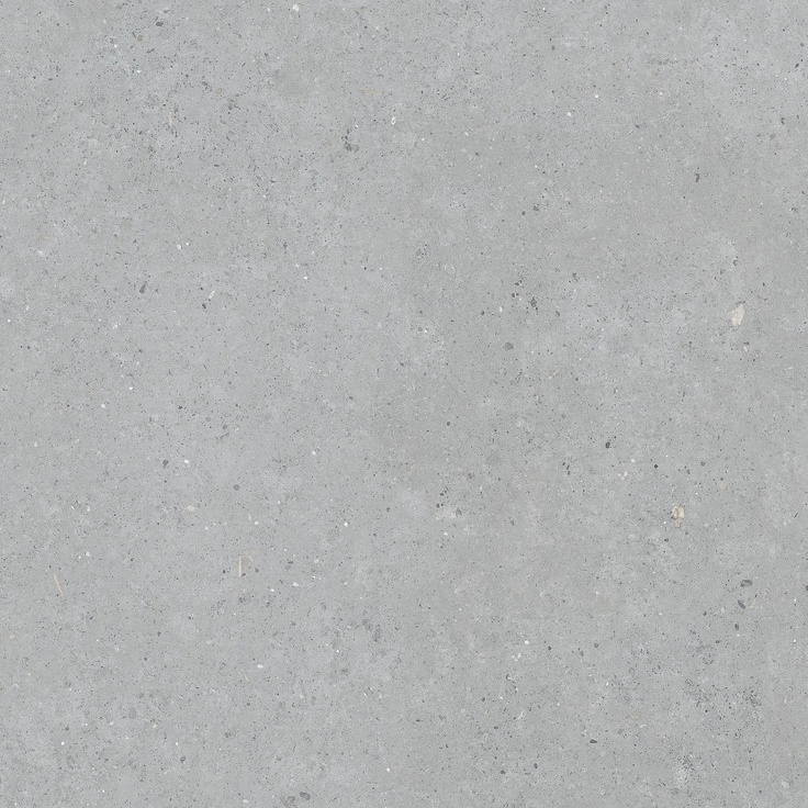 Pastorelli Biophilic С000480089 P009411_BlGrey gres porcellanato 120x120 cm, Italia, altri tipi di pietra - foto 1 Pastorelli Biophilic С000480089 P009411_BlGrey gres porcellanato 120x120 cm, Italia, altri tipi di pietra - foto 1