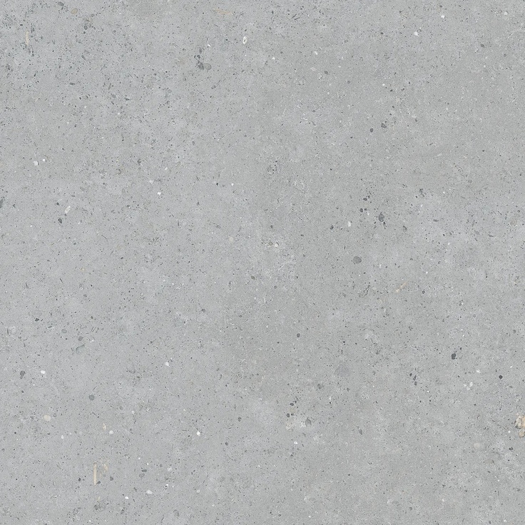 Pastorelli Biophilic С000480097 P009419_BiGrey gres porcellanato 80x80 cm, Italia, altri tipi di pietra - foto 1 Pastorelli Biophilic С000480097 P009419_BiGrey gres porcellanato 80x80 cm, Italia, altri tipi di pietra - foto 1