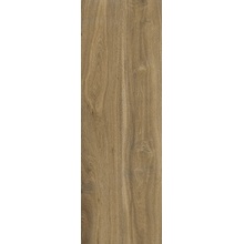 Pastorelli Everyday С000606251 P011321_ED BROWN 40X120 20MM RETT keramisch graniet 40x120 cm, Italië, hout - foto 1 - foto 1