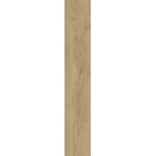 Pastorelli Everyday С000606232 P011469_ED HONEY 20X120 RETT keramisch graniet 20x120 cm, Italië, hout - foto 1 - foto 1