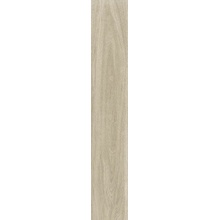 Pastorelli Everyday С000606234 P011468_ED TAUPE 20X120 RETT keramisch graniet 20x120 cm, Italië, hout - foto 1 - foto 1