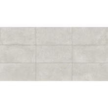 Pastorelli Freespace С000604499 P009017A_FsWhite60X120Rett8,5Mm keramisch graniet 60x120 cm, Italië, beton - foto 1 - foto 1