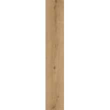 Pastorelli Primitive С000619805 P013128_PV ROVERE DEI MEDICI 20X120 GRIP/RETT keramisch graniet 20x120 cm, Italië, hout - foto 1 - foto 1
