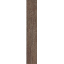 Paul Ceramiche Homy С000600711 PHOPR5C_HOMY BROWN RT 20x120 Feinsteinzeug 20x120 cm, Italien, holz - Foto 1 - Foto 1