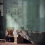 Paul Ceramiche Le Gioie 20x20 см, keramiek, Italië - interieurfoto 7