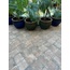 Peronda Fs By Espagne - photo d'intérieur 30