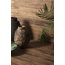Peronda FS Wild 19,5x121,5 см, porcelanato esmaltado, Espanha, árvore - foto de interior 3