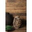 Peronda FS Wild 19,5x121,5 см, porcelanato esmaltado, Espanha, árvore - foto de interior 7