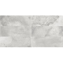Peronda FS С000474080 28943_FsRakuSilver veggflis 20x40 cm, Spania, craquelé - foto 1 - foto 1