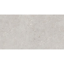 Peronda Manhattan 36909 Silver AntiSlip  R 20mm porcelain tile 50x100 cm, Spain, stone  - photo 1 - photo 1