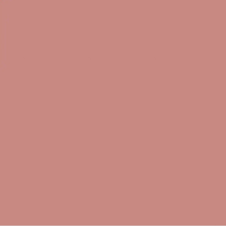 Petracer's La Boiserie С000572083 BS RIP 20ANTICO_RIPOSO LISCIO 20X20 ROSA ANTICO Decor 20x20 cm, Italy - photo 1 Petracer's La Boiserie С000572083 BS RIP 20ANTICO_RIPOSO LISCIO 20X20 ROSA ANTICO Decor 20x20 cm, Italy - photo 1