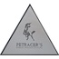 Petracer's Triangolo С000504559 TG D LOGO 07 LUX_TRIANGOLO LOGO SU PLATINO LUCIDO 17X17H15 Dekor 17x17x17 cm, Italien, guld og ædelmetaller - foto 1