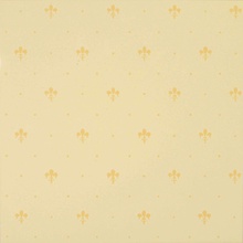 Petracer`s Grand Elegance Giglio Crema Su Crema wandtegel 20x20 cm, Italië, stof - foto 1 - foto 1