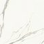Piemme Majestic Pure Selection С000526833 03921_SuperbStatuarioL/R porcelænsflise 119,5x119,5 cm, Italien, statuario - foto 1