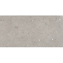Provenza Ego С000465800 EGP1_600X1200EgoGrigioR granitkeramik 60x120 cm, Italien, granit - foto 1 - foto 1