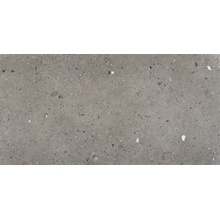Provenza Ego С000465801 EGP2_600X1200EgoGriScuroR granitkeramik 60x120 cm, Italien, granit - foto 1 - foto 1