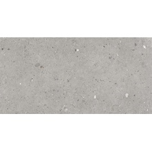 Provenza Ego EGP1 Grigio keramisch graniet 60x120 cm, Italië, terrazzo - foto 1 - foto 1
