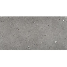 Provenza Ego EGP2 Grigio Scuro keramisch graniet 60x120 cm, Italië, terrazzo - foto 1 - foto 1