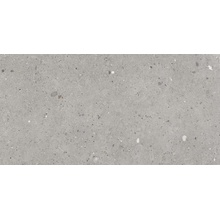 Provenza Ego EGP6 Grigio Naturale Ret keramisch graniet 30x60 cm, Italië, steen  - foto 1 - foto 1